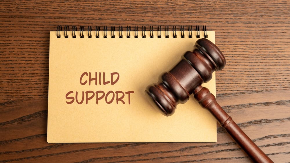 Notes,Child,Support.,Legal,Obligation,For,A,Non-custodial,Parent,To - Jackman Law Firm Seattle child support lawyer